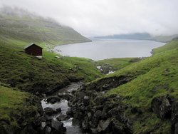 Viðoy 9
