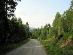 Surnadal 4