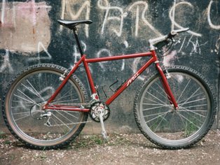 1995: Dunkelrot