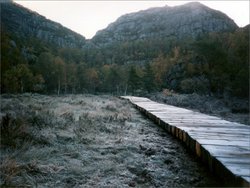 Zum Preikestolen 3