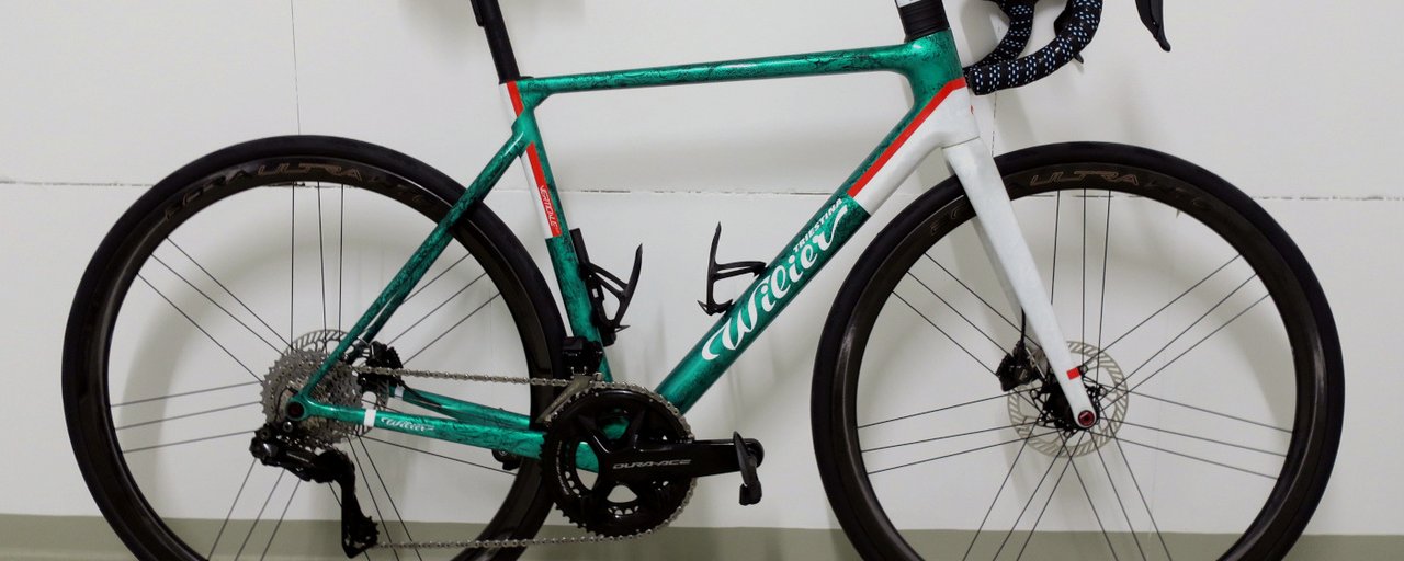 Wilier Triestina Verticale SLR