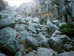 Zum Preikestolen 4