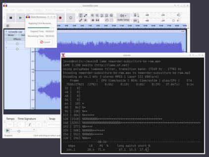 Audacity und Lame